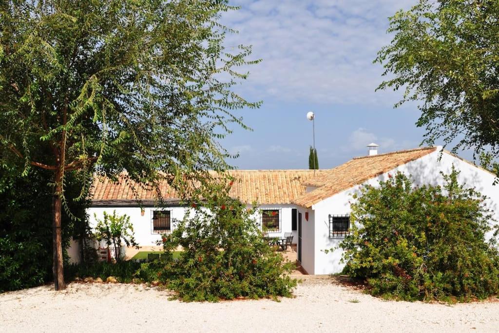 Casa Rural La Linana Kordoba Bagian luar foto