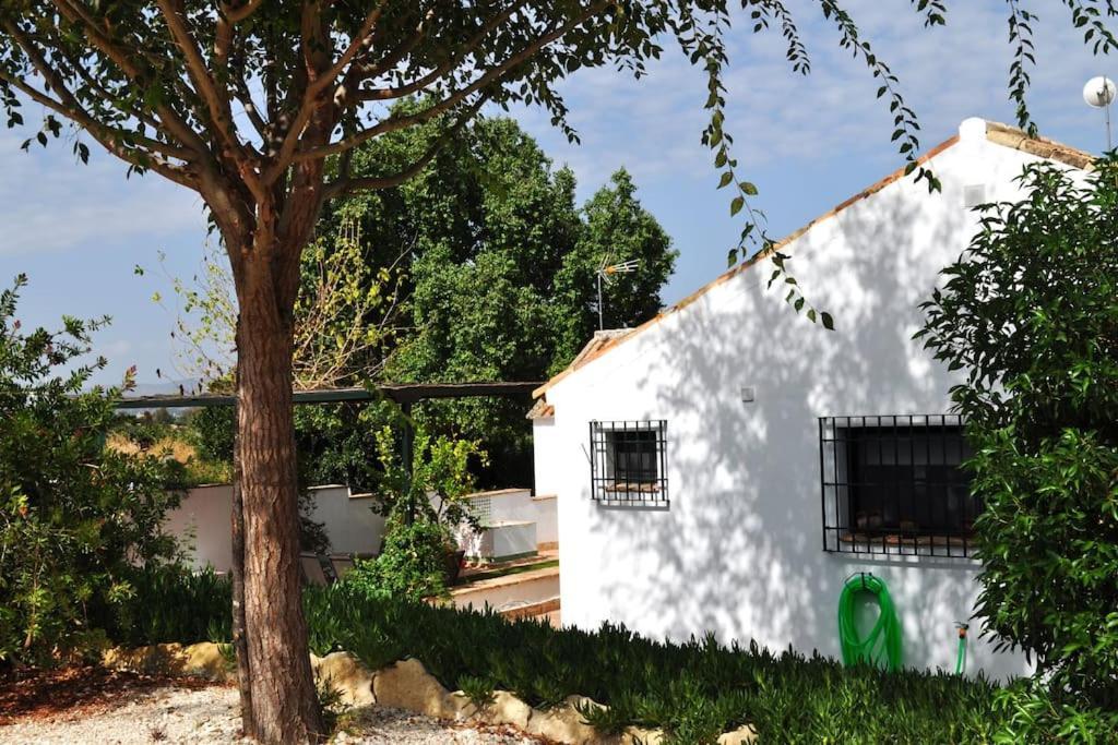 Casa Rural La Linana Kordoba Bagian luar foto